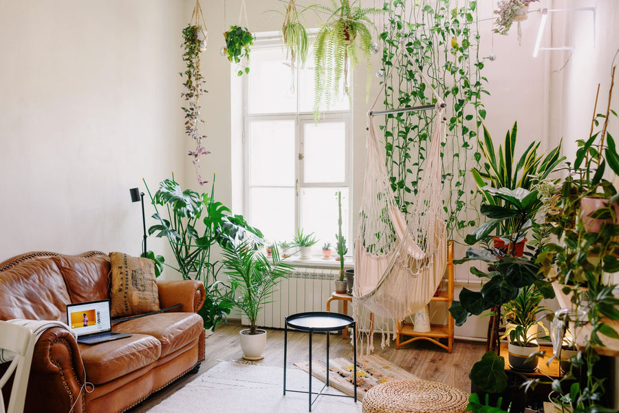 Biophilic Design: Altbau-Wohnzimmer mit Hängepflanzen, Monstera, Ledersofa, Makramee-Hängesessel und Rattan am hohen Fenster