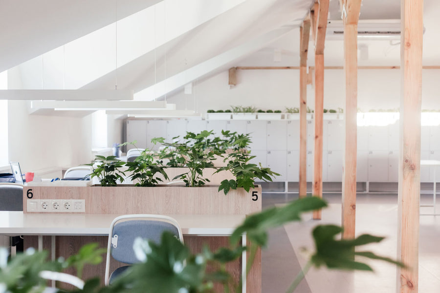 Helles Büro im Dachgeschoss mit Holzstützen, Arbeitsplätzen und Pflanzen als Raumteiler – modern und wohnlich eingerichtet