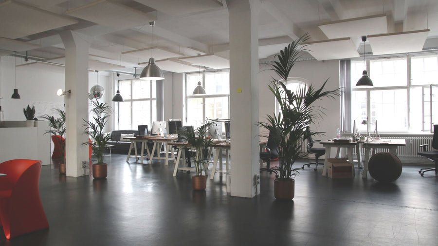 Lockeres Startup-Büro in einem Altbau-Loft mit Säulen, Holztischen, Hängeleuchten und großen Palmen in Terrakottatöpfen